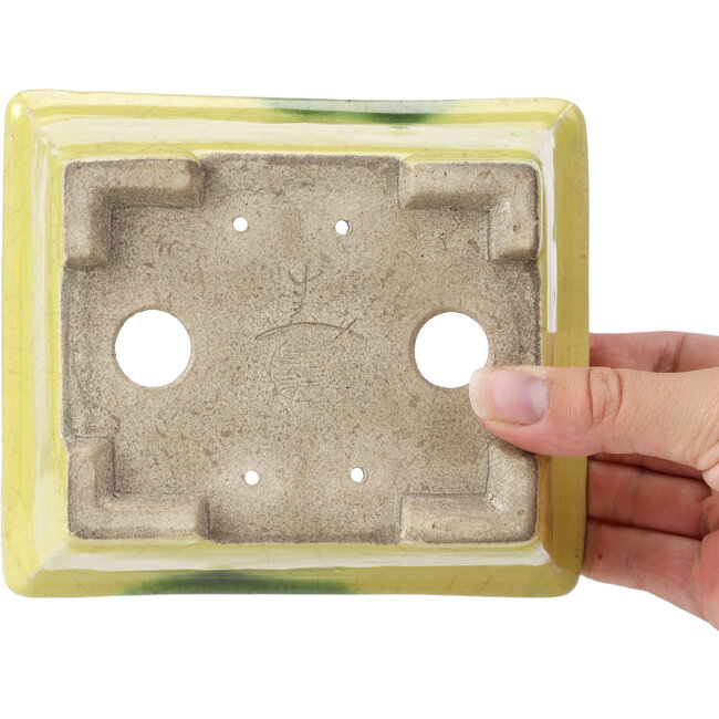 Vaso per bonsai rettangolare giallo di Terahata Satomi Mazan - 155 x 131 x 61 mm