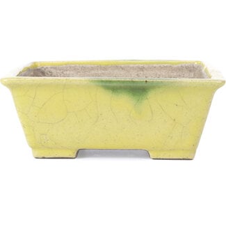  Satomi Mazan, Mazan Terahata 154 mm rectangular yellow bonsai pot by Terahata Satomi Mazan, Tokoname, Japan