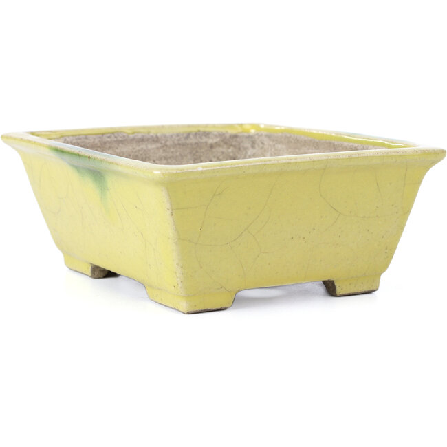 Vaso per bonsai rettangolare giallo di Terahata Satomi Mazan - 154 x 135 x 60 mm