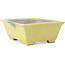 Rectangular yellow bonsai pot by Terahata Satomi Mazan - 154 x 135 x 60 mm