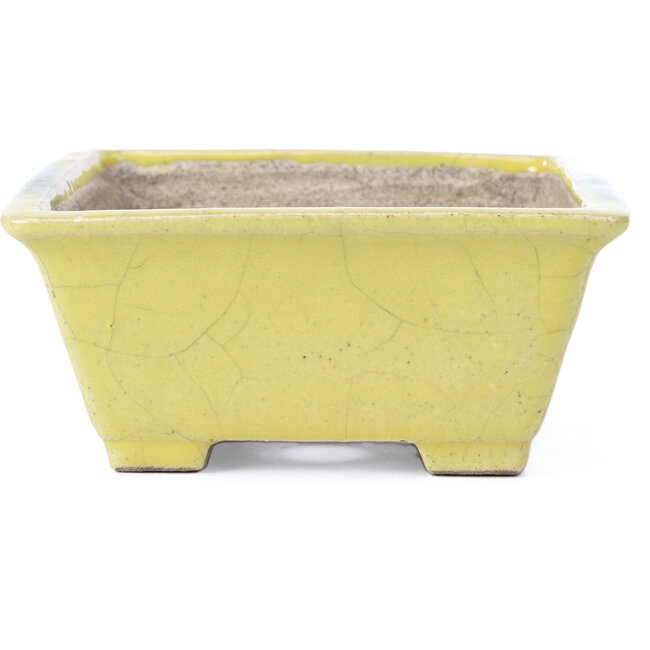 Maceta de bonsái amarilla rectangular de Terahata Satomi Mazan - 154 x 135 x 60 mm