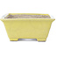 Pot à bonsaï rectangulaire jaune par Terahata Satomi Mazan - 154 x 135 x 60 mm