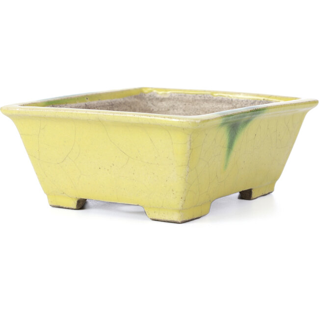 Rechthoekige gele bonsaipot van Terahata Satomi Mazan - 154 x 135 x 60 mm