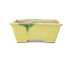 Pot à bonsaï rectangulaire jaune par Terahata Satomi Mazan - 154 x 135 x 60 mm