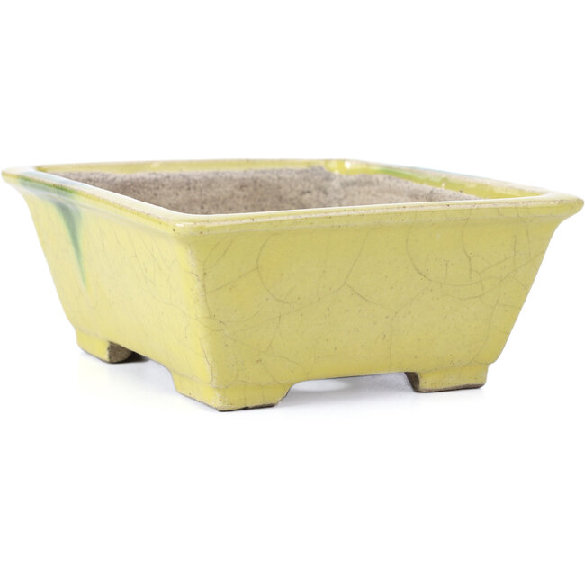 Rectangular yellow bonsai pot by Terahata Satomi Mazan - 154 x 135 x 60 mm