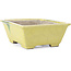 Pot à bonsaï rectangulaire jaune par Terahata Satomi Mazan - 154 x 135 x 60 mm
