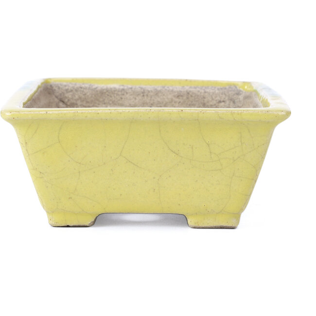 Rectangular yellow bonsai pot by Terahata Satomi Mazan - 154 x 135 x 60 mm