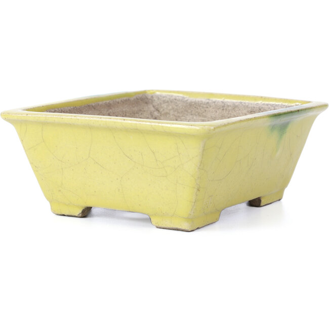 Vaso per bonsai rettangolare giallo di Terahata Satomi Mazan - 154 x 135 x 60 mm