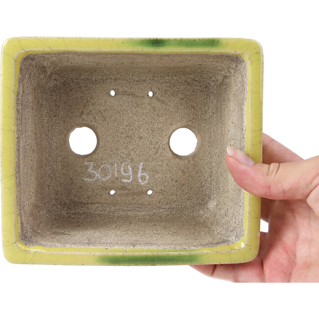 Rectangular yellow bonsai pot by Terahata Satomi Mazan - 154 x 135 x 60 mm