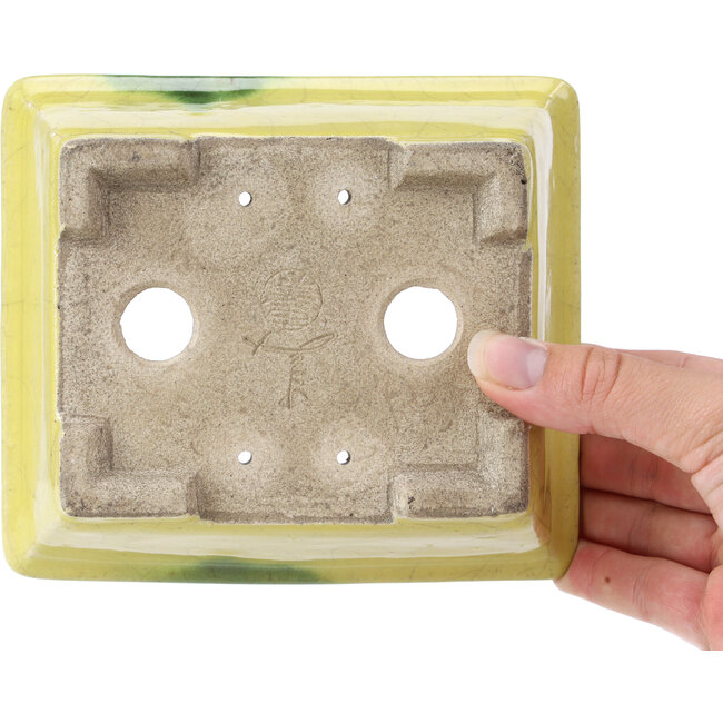 Vaso per bonsai rettangolare giallo di Terahata Satomi Mazan - 154 x 135 x 60 mm