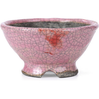  Bunzan 112 mm round pink craquelé bonsai pot by Bunzan, Tokoname, Japan