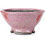 Round pink craquelé bonsai pot by Bunzan - 112 x 111 x 57 mm