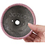 Pot à bonsaï rond rose craquelé par Bunzan - 112 x 111 x 57 mm