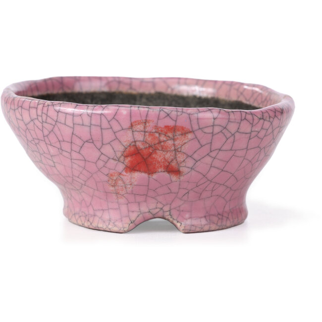 Round pink craquelé bonsai pot by Bunzan - 104 x 102 x 45 mm