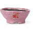 Round pink craquelé bonsai pot by Bunzan - 104 x 102 x 45 mm