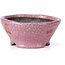 Round pink craquelé bonsai pot by Bunzan - 104 x 102 x 45 mm