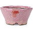 Ronde roze craquelé bonsai pot van Bunzan - 110 x 108 x 56 mm