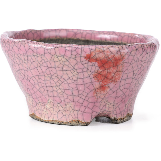 Ronde roze craquelé bonsai pot van Bunzan - 110 x 108 x 56 mm