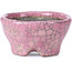 Round pink craquelé bonsai pot by Bunzan - 53 x 52 x 33 mm