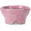 Round pink craquelé bonsai pot by Bunzan - 53 x 52 x 33 mm