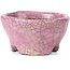 Round pink craquelé bonsai pot by Bunzan - 53 x 52 x 33 mm