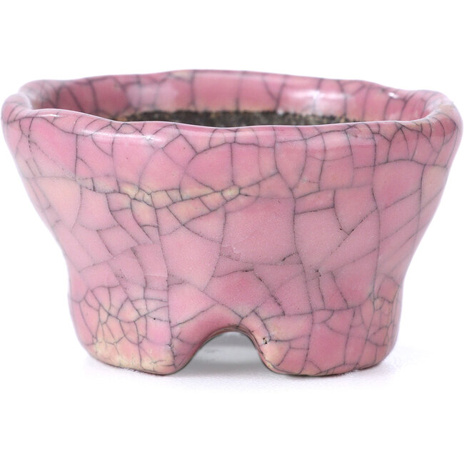 Round pink craquelé bonsai pot by Bunzan - 54 x 54 x 30 mm