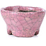 Round pink craquelé bonsai pot by Bunzan - 54 x 54 x 30 mm