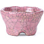 Round pink craquelé bonsai pot by Bunzan - 54 x 54 x 30 mm