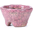 Round pink craquelé bonsai pot by Bunzan - 54 x 54 x 30 mm