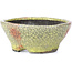 Ronde gele craquelé bonsai pot van Bunzan - 116 x 116 x 50 mm