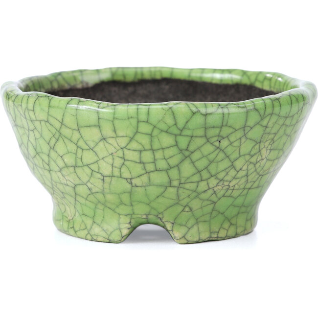 Round green craquelé bonsai pot by Bunzan - 105 x 105 x 49 mm