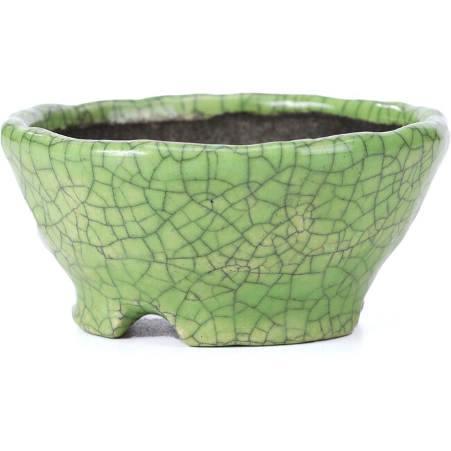 Pot à bonsaï rond craquelé vert par Bunzan - 105 x 105 x 49 mm