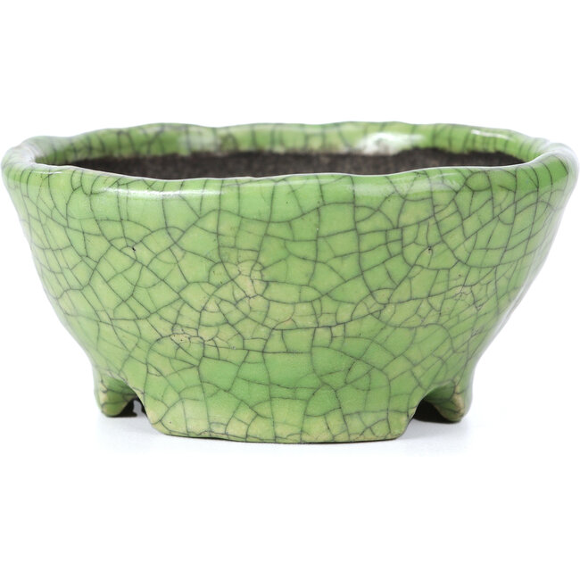 Runde grüne Craquelé-Bonsaischale von Bunzan - 105 x 105 x 49 mm