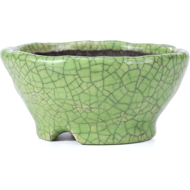 Vaso per bonsai rotondo verde craquelé di Bunzan - 105 x 105 x 49 mm