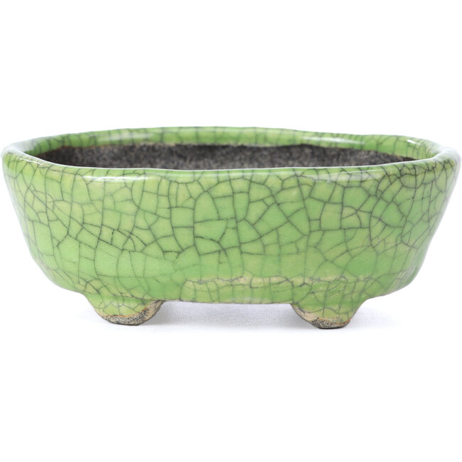 Oval green craquelé bonsai pot by Bunzan - 118 x 98 x 42 mm