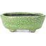 Pot à bonsaï ovale vert craquelé par Bunzan - 118 x 98 x 42 mm