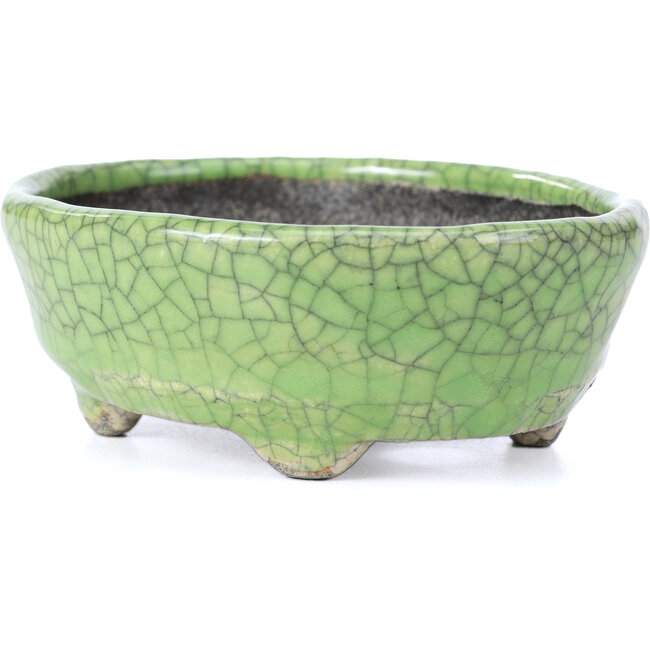 Maceta de bonsái craquelé verde ovalada de Bunzan - 118 x 98 x 42 mm