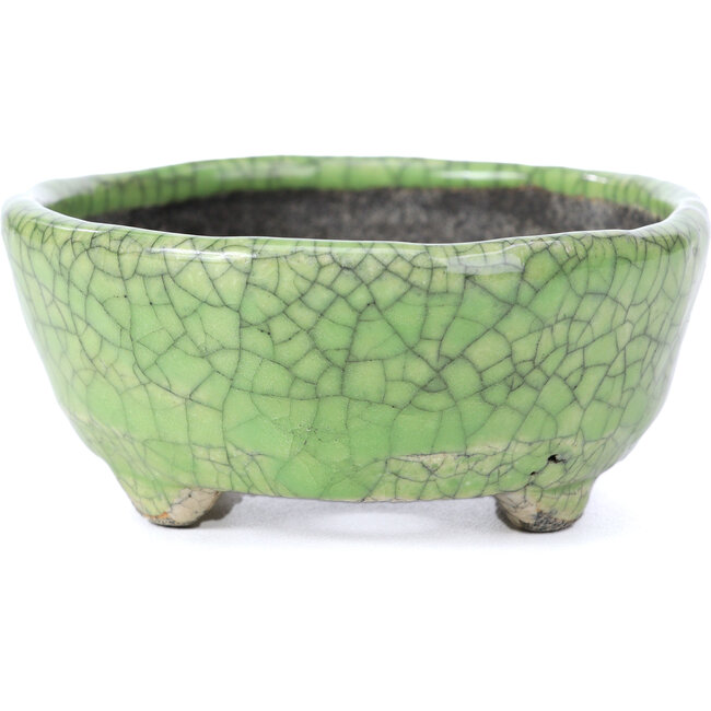 Ovale groene craquelé bonsai pot van Bunzan - 118 x 98 x 42 mm
