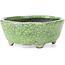 Pot à bonsaï ovale vert craquelé par Bunzan - 118 x 98 x 42 mm