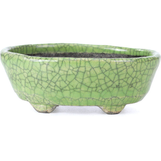 Ovale groene craquelé bonsai pot van Bunzan - 118 x 98 x 42 mm