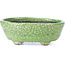 Oval green craquelé bonsai pot by Bunzan - 118 x 98 x 42 mm