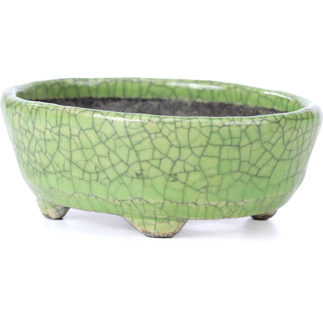 Oval green craquelé bonsai pot by Bunzan - 118 x 98 x 42 mm