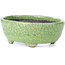 Pot à bonsaï ovale vert craquelé par Bunzan - 118 x 98 x 42 mm