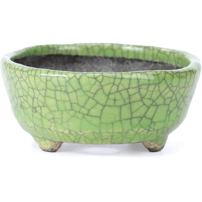 Vaso per bonsai ovale verde craquelé di Bunzan - 118 x 98 x 42 mm