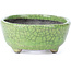 Pot à bonsaï ovale vert craquelé par Bunzan - 118 x 98 x 42 mm