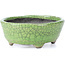 Oval green craquelé bonsai pot by Bunzan - 118 x 98 x 42 mm