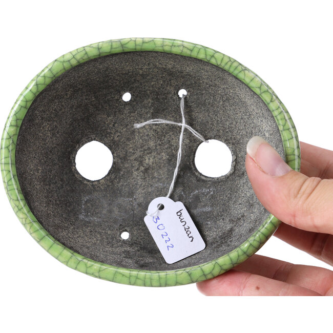 Maceta de bonsái craquelé verde ovalada de Bunzan - 118 x 98 x 42 mm