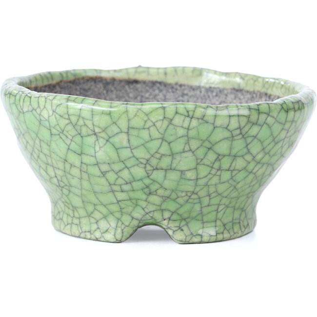 Pot à bonsaï rond craquelé vert par Bunzan - 117 x 117 x 54 mm