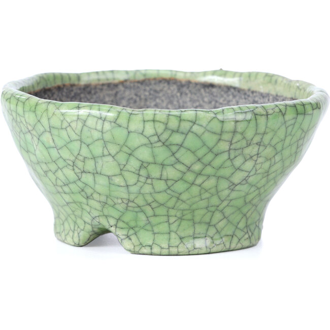 Round green craquelé bonsai pot by Bunzan - 117 x 117 x 54 mm