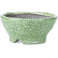 Pot à bonsaï rond craquelé vert par Bunzan - 117 x 117 x 54 mm